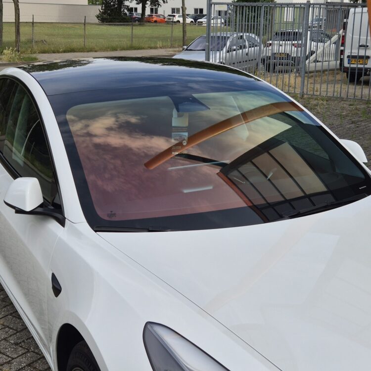 FG 20 + Chameleon (4)